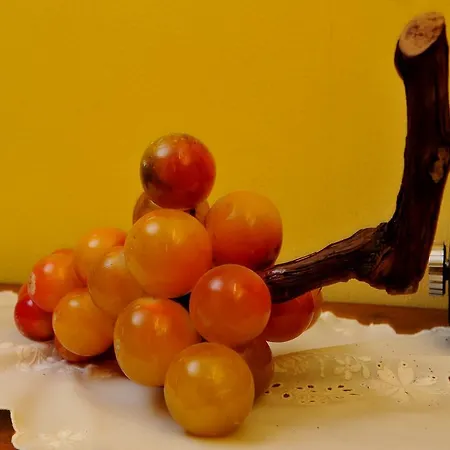 Grande Quattro Stagioni Hotel Rieti