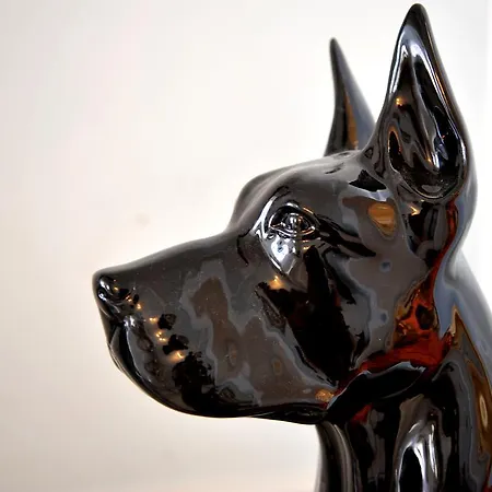 Grande Quattro Stagioni Rieti